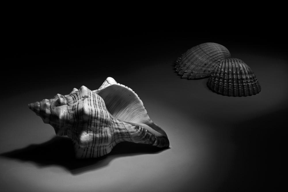 Still life tribute to...